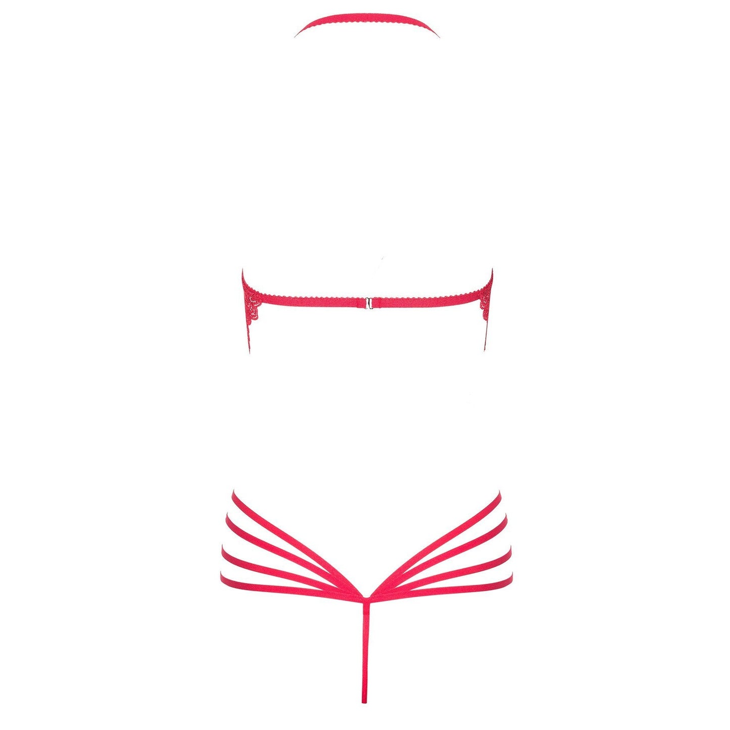 BEAUTY NIGHT FASHION DENVER TEDDY CHERRY